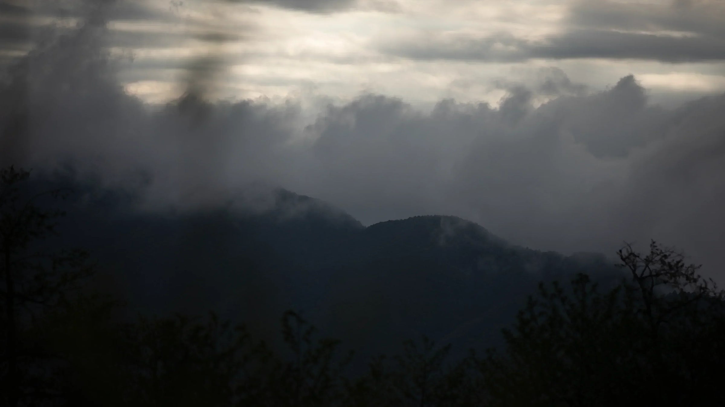 Tea, and the urgency of stopping