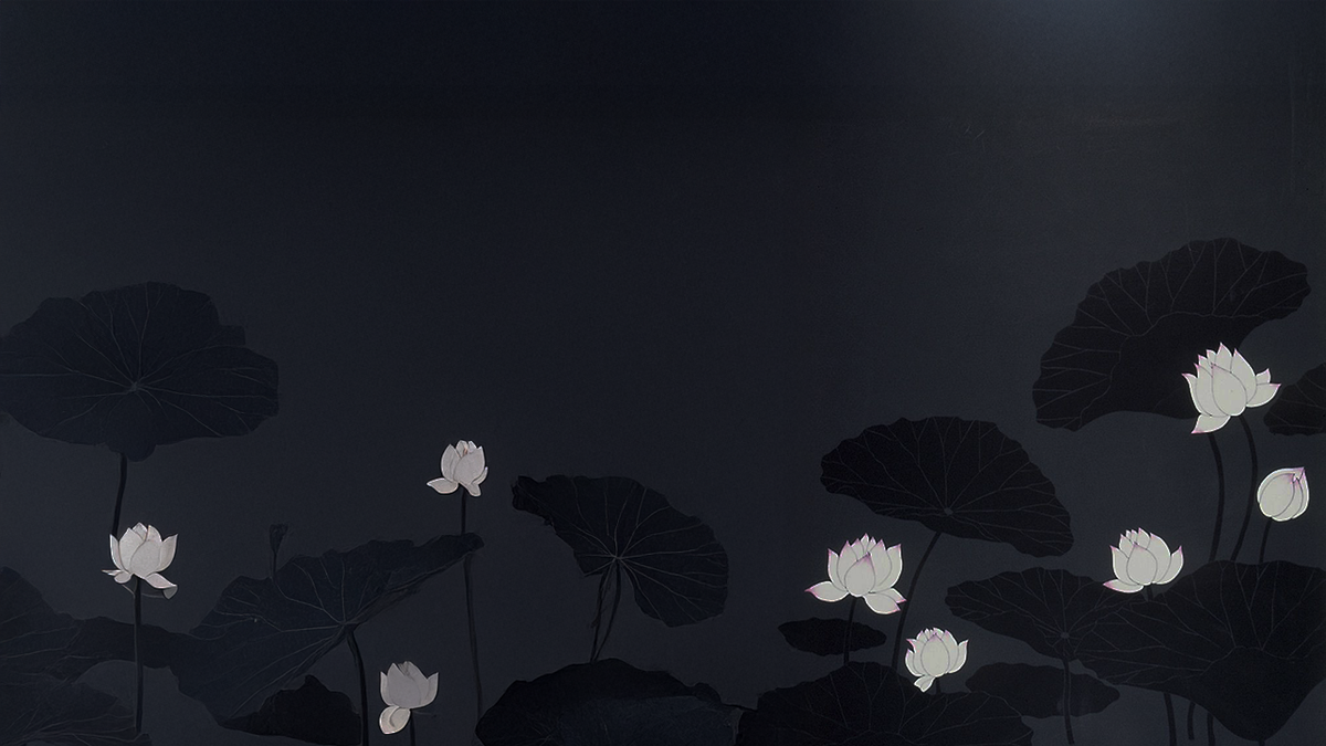 What Darkness Illuminates