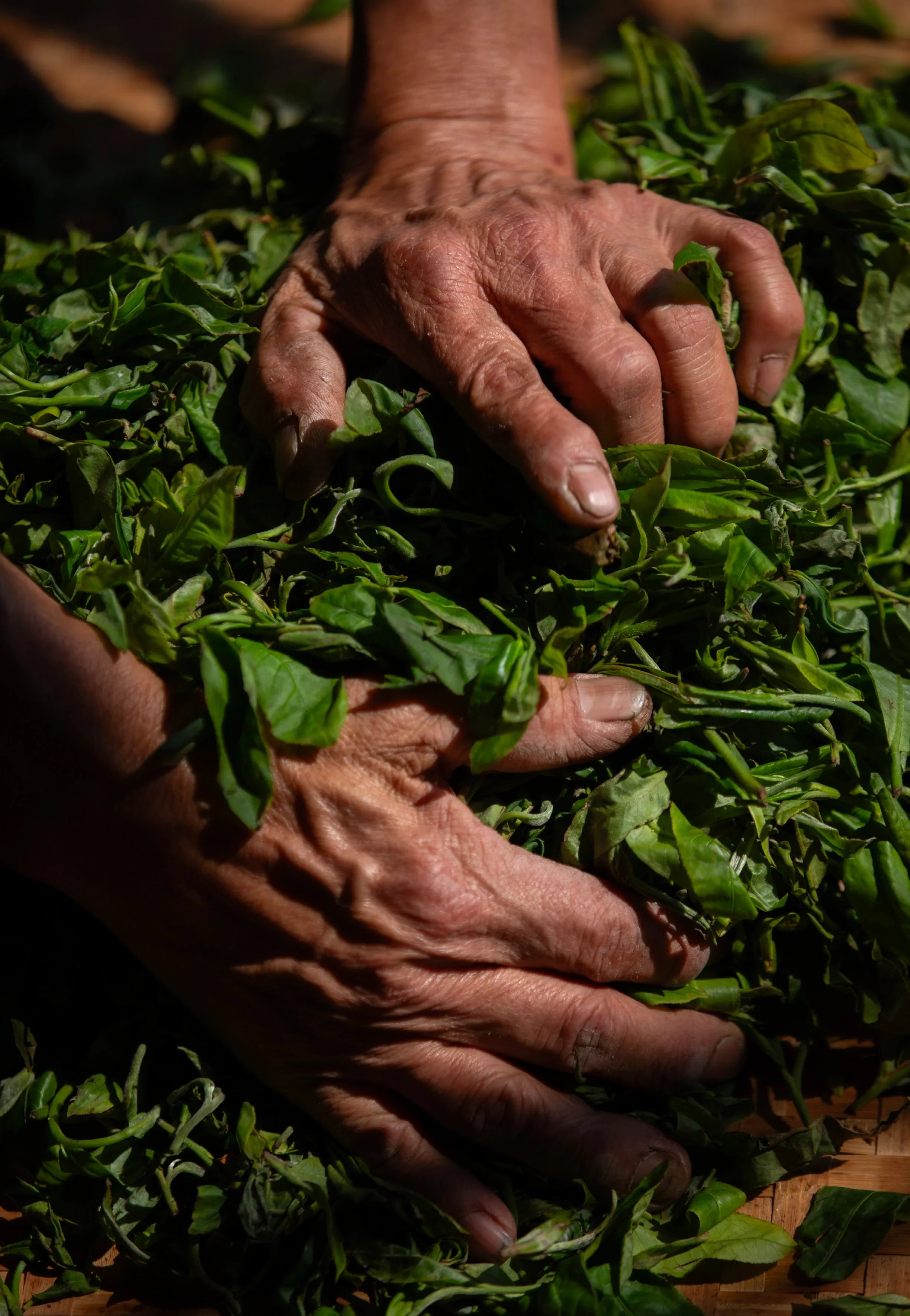 Organic Tea