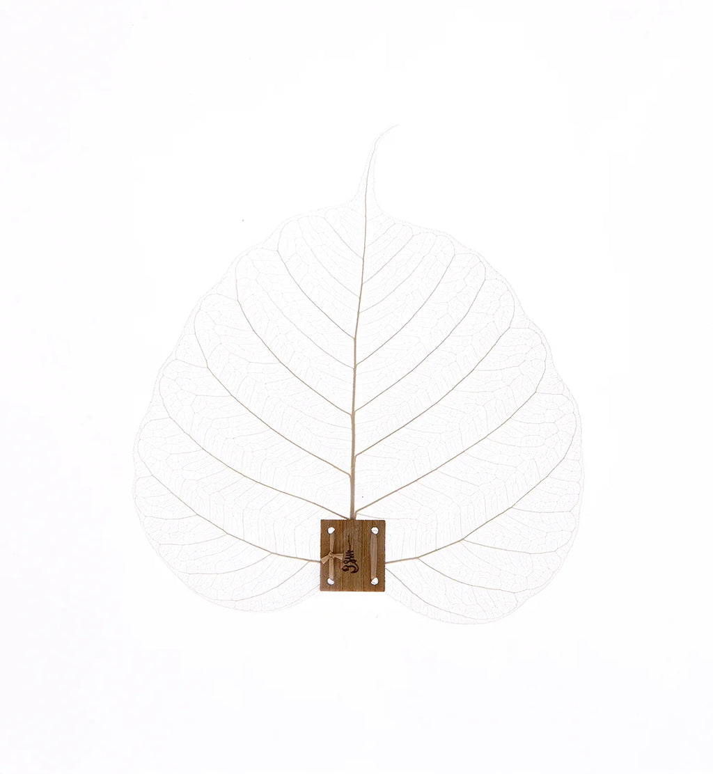 Leaf Strainer