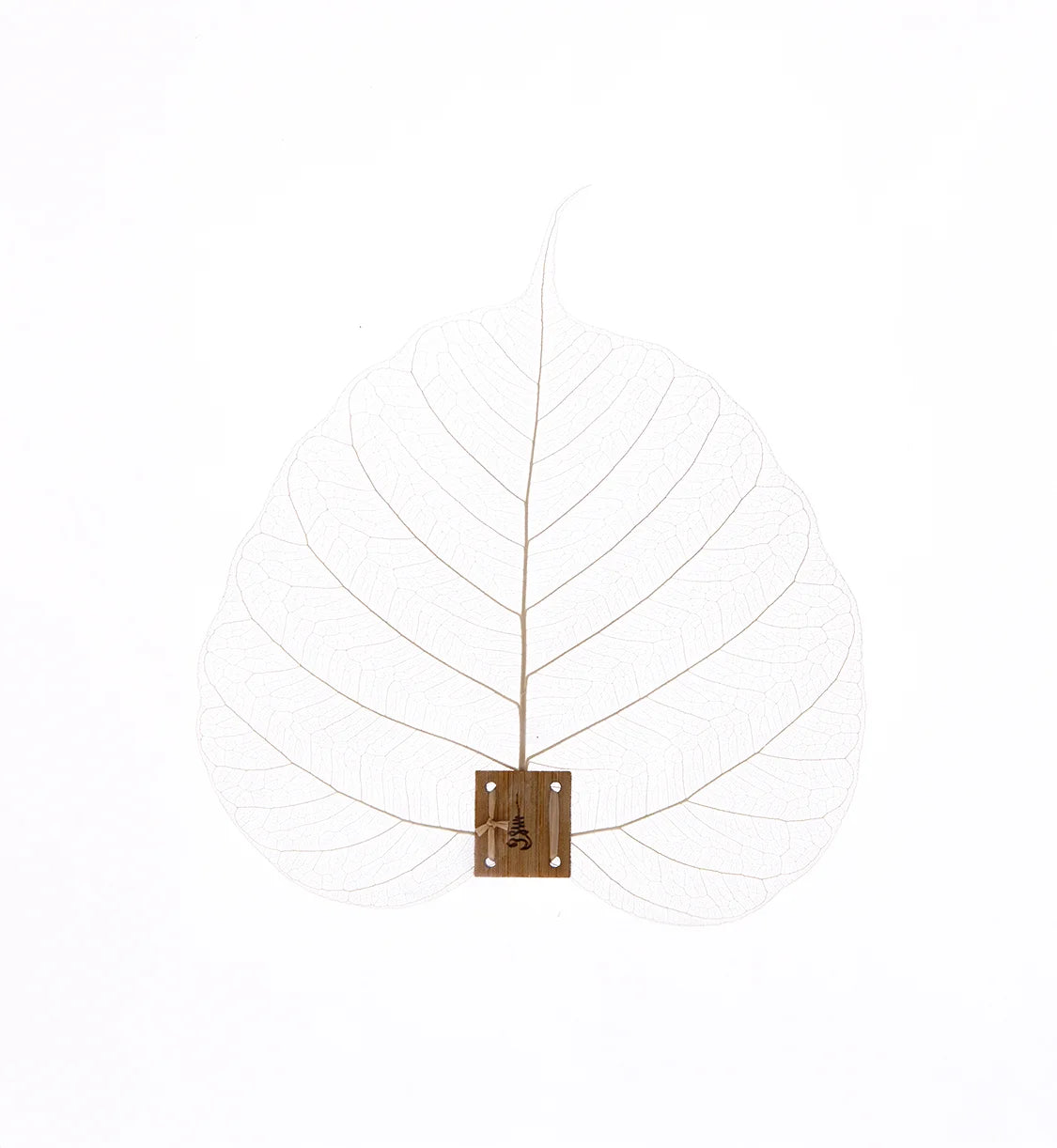 Exhibition Leaf Strainer